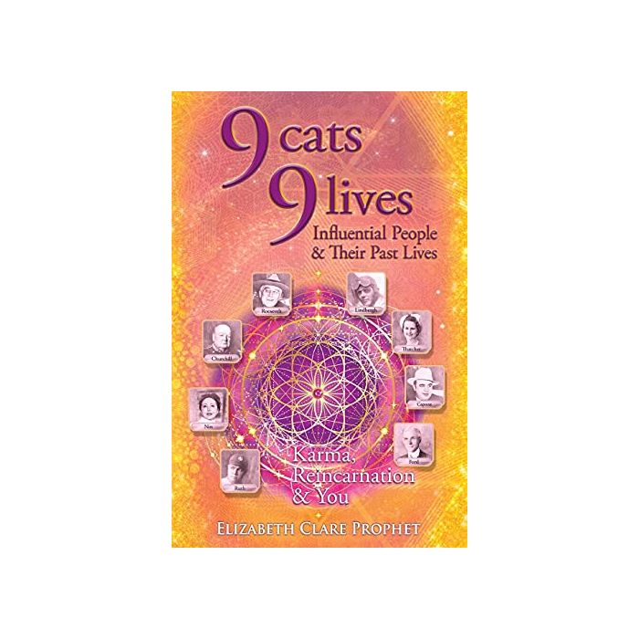 9 CATS 9 LIVES: KARMA REINCARNATION AND YOU