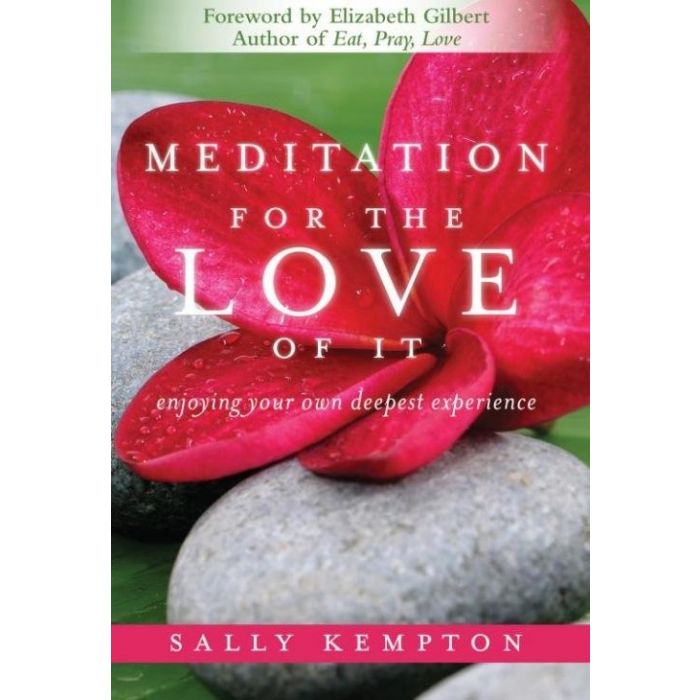 Meditation for the Love of It