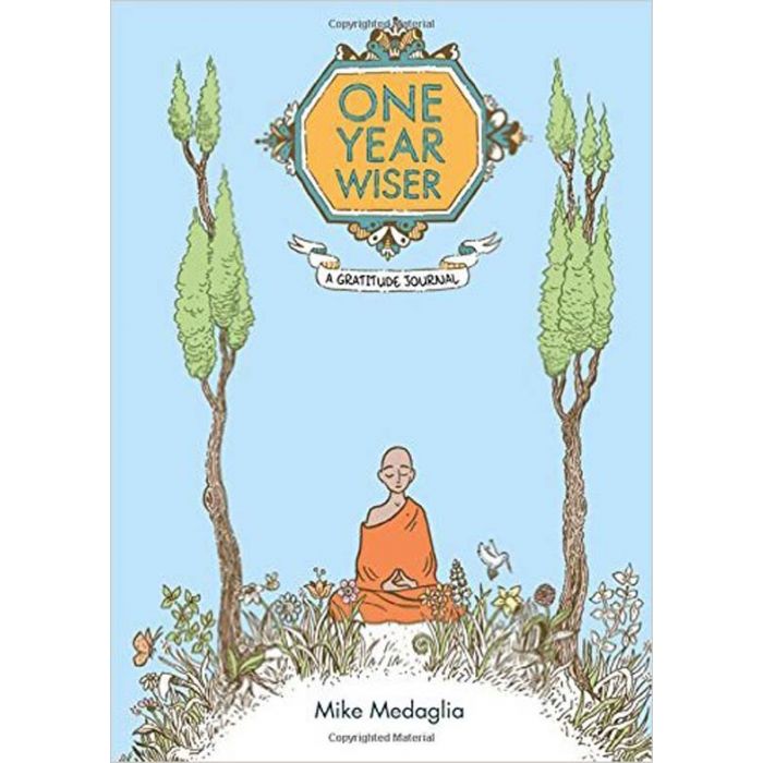 One Year Wiser: A Gratitude Journal