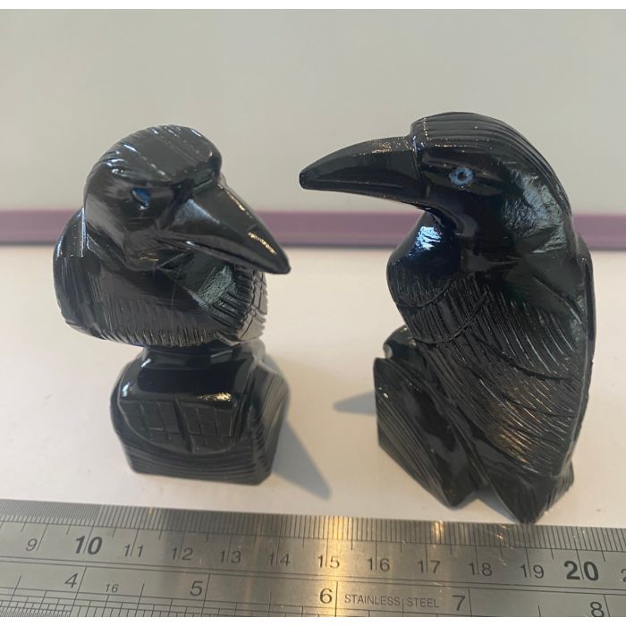  Black Obsidian Large Crow CC604