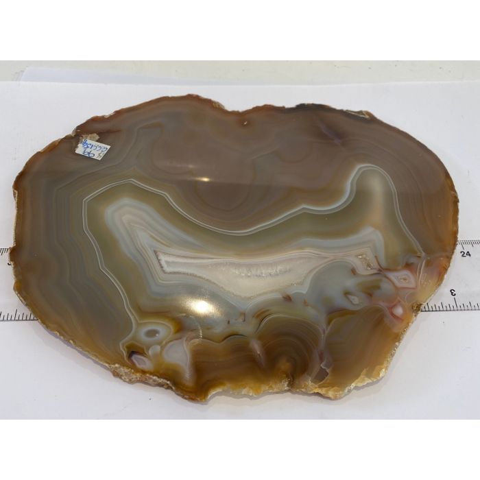  Agate Slices Large Natural CCC154