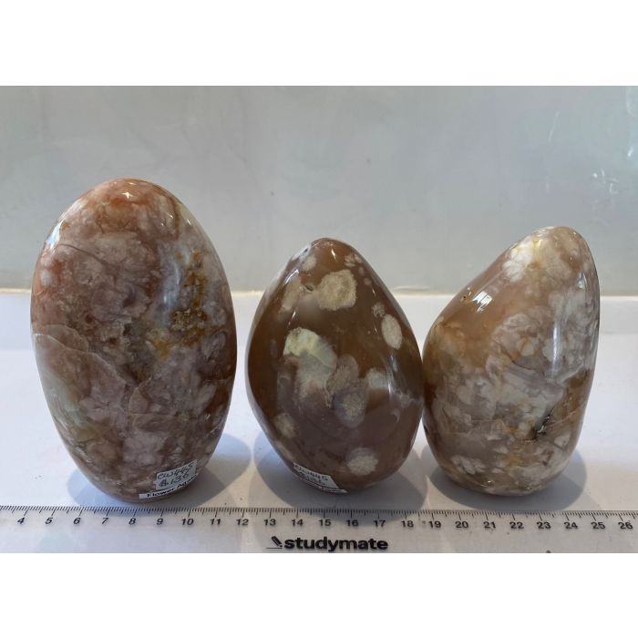 Flower Agate Free Forms CW445