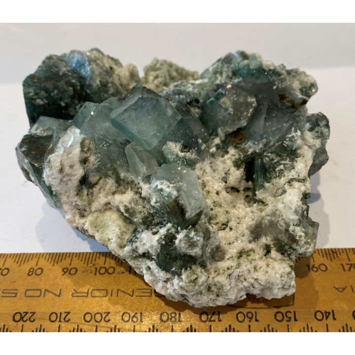 Marshy Apophyllite Cluster Natural Chlorite FL531