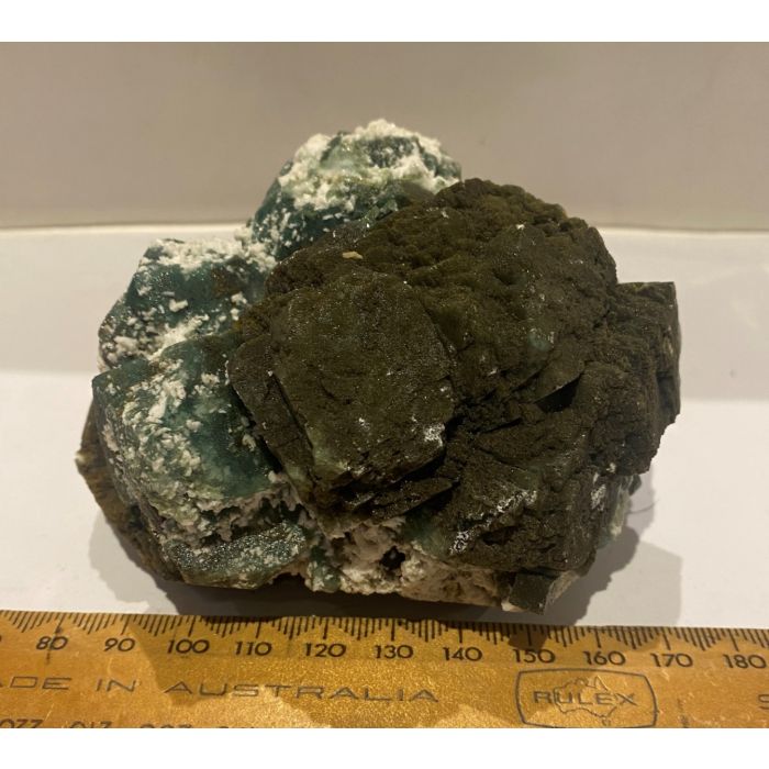 Marshy Apophyllite Cluster Natural Chlorite FL544