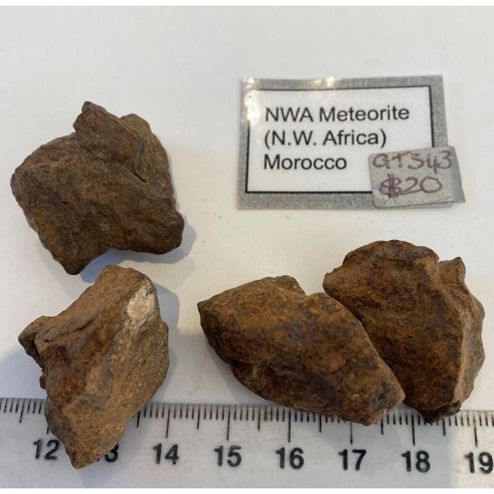 NWA Meteorite GT343