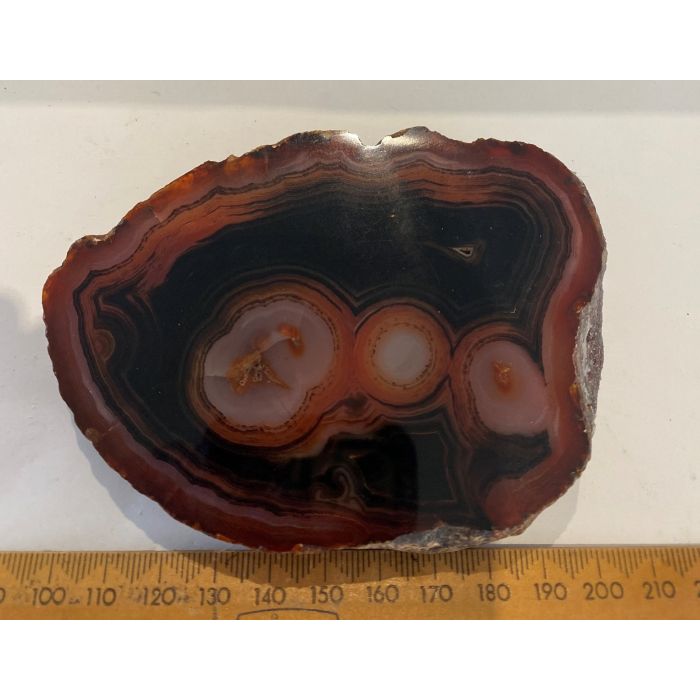  Agate Slices GT394