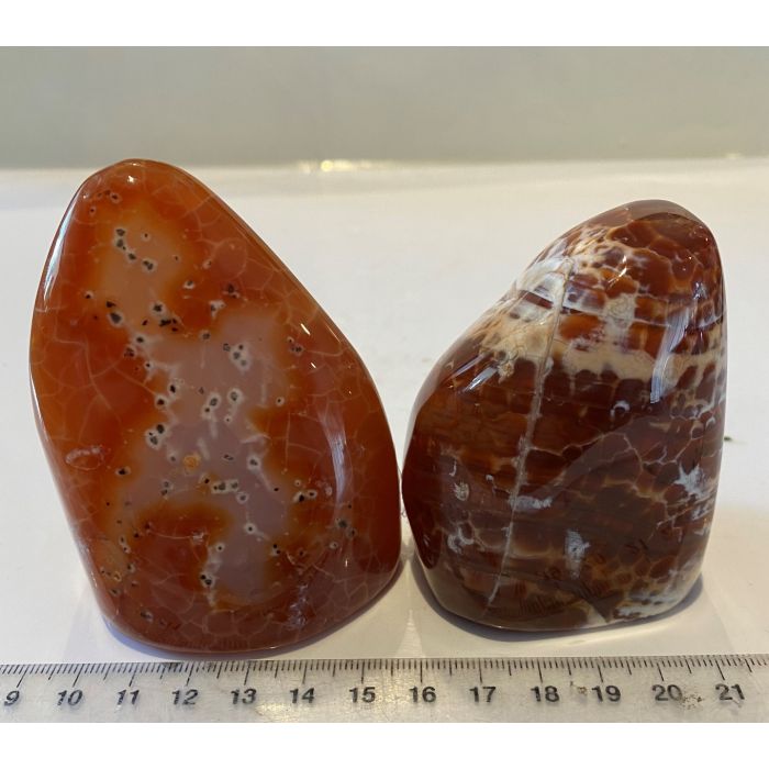 Fire Agate Free Form HWH13