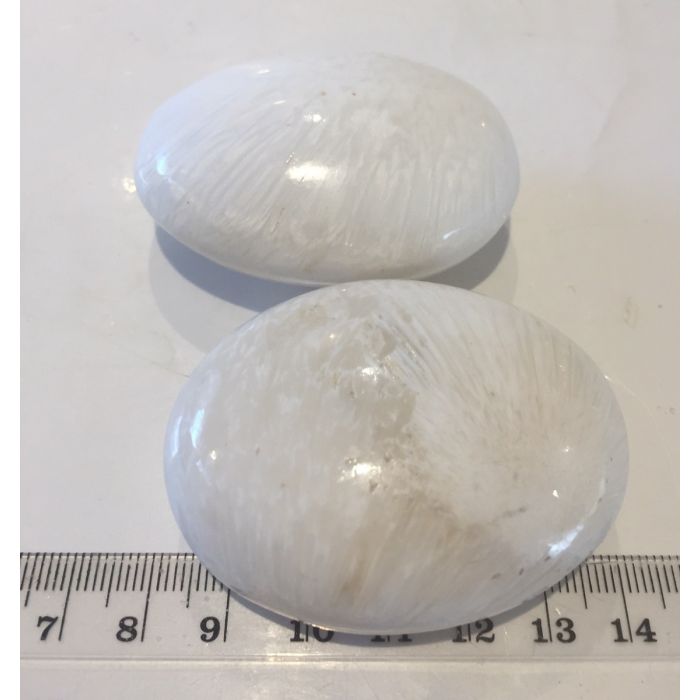 Scolecite Palm Stone IEC453