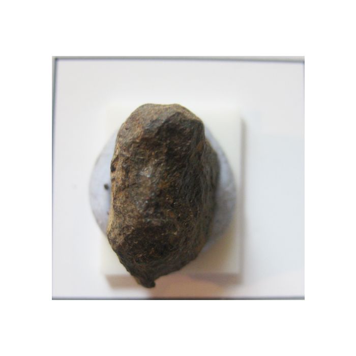 Iron Meteorite - Mundrabilla A667