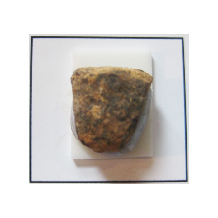 Iron Meteorite - Mundrabilla A669