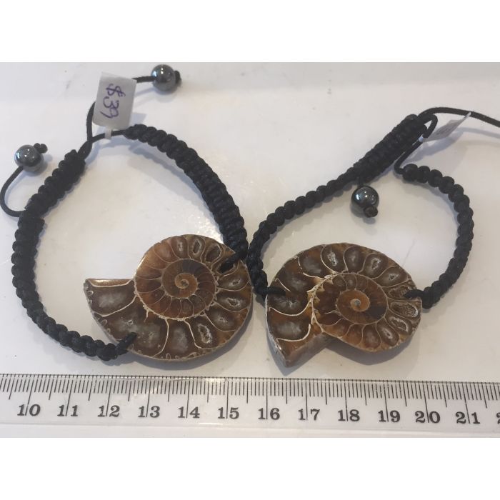 Ammolite Shell Bracelets MBE447