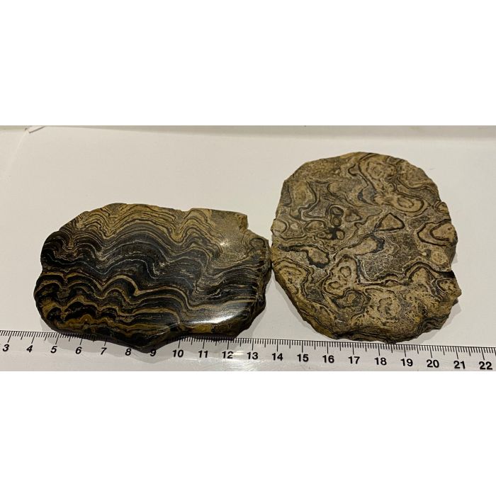 Stromatolite Slads MBE560