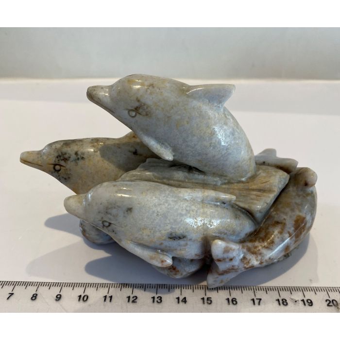 Agate Dolphins MBE721