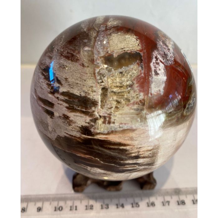 Petrified Wood Sphere MBE853