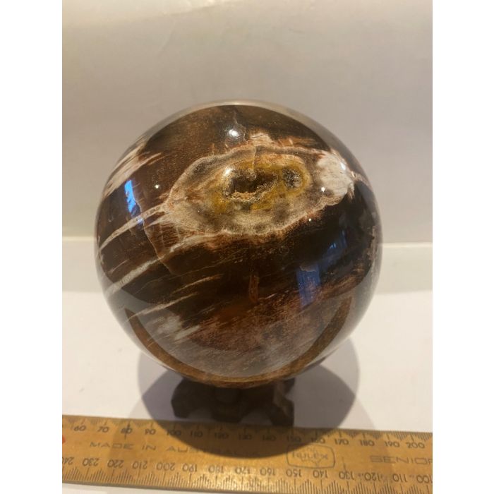 Petrified Wood Sphere MBE939