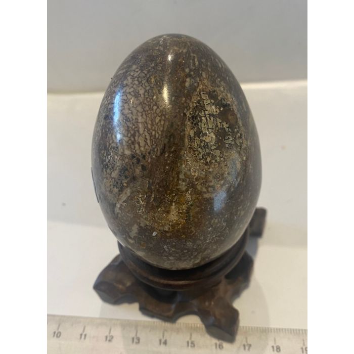 Fossil Dinosaur Bone Egg MM854