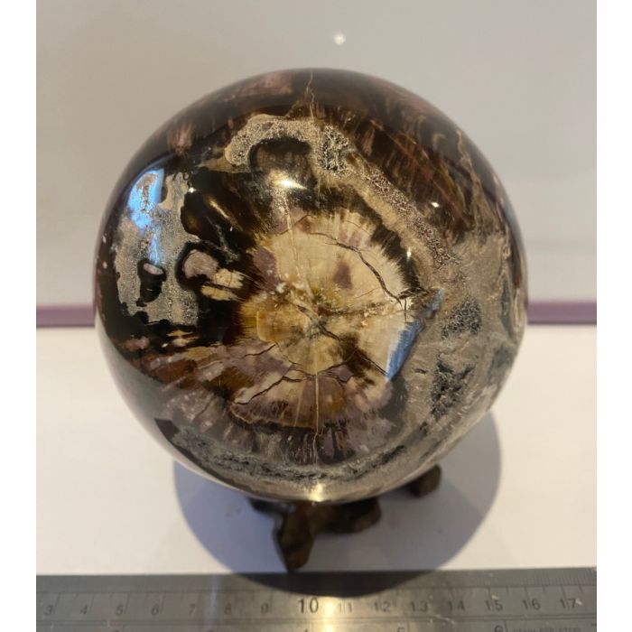 Petrified Wood Sphere MM863