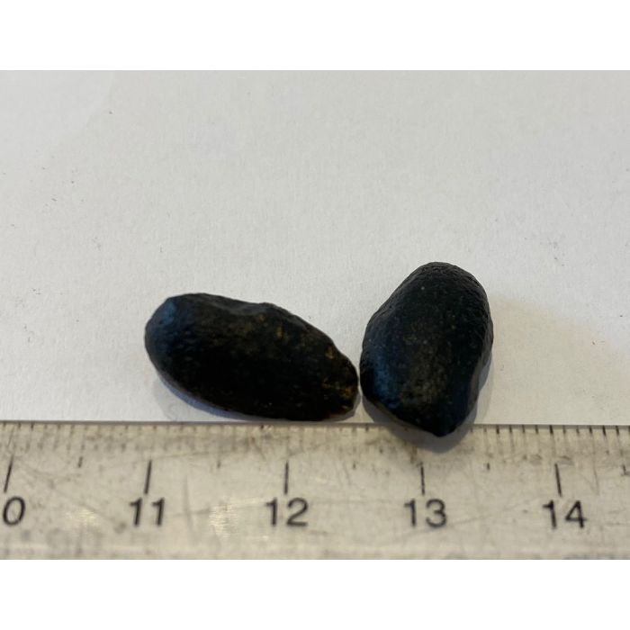  Nullarbor Plain Meteorite Small ROF29